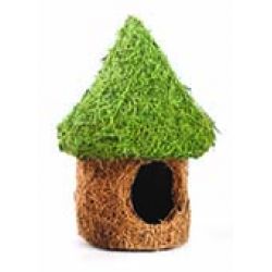 Nature first tiki hut