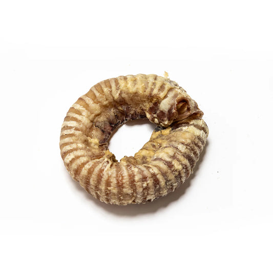 Traccia Rings