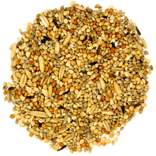 Budgerigar Seed 1kg