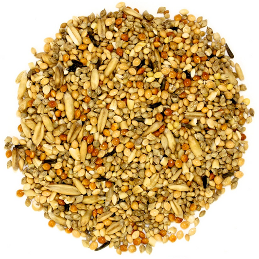 Budgerigar Seed 1kg