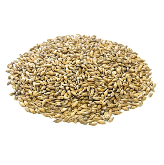 Canary Seed 1kg