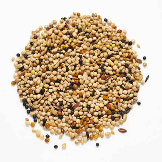 Finch Seed 1kg