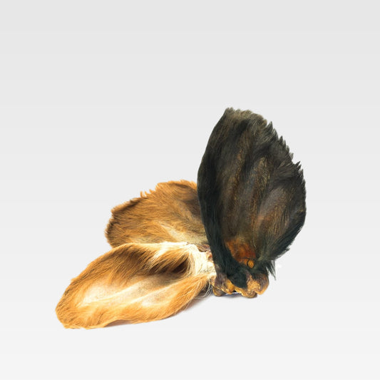 Hairy Cow Ears
