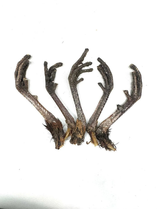 Pheasant Feet