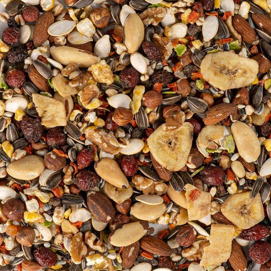 Tropical Mix Parrot Seed 1kg
