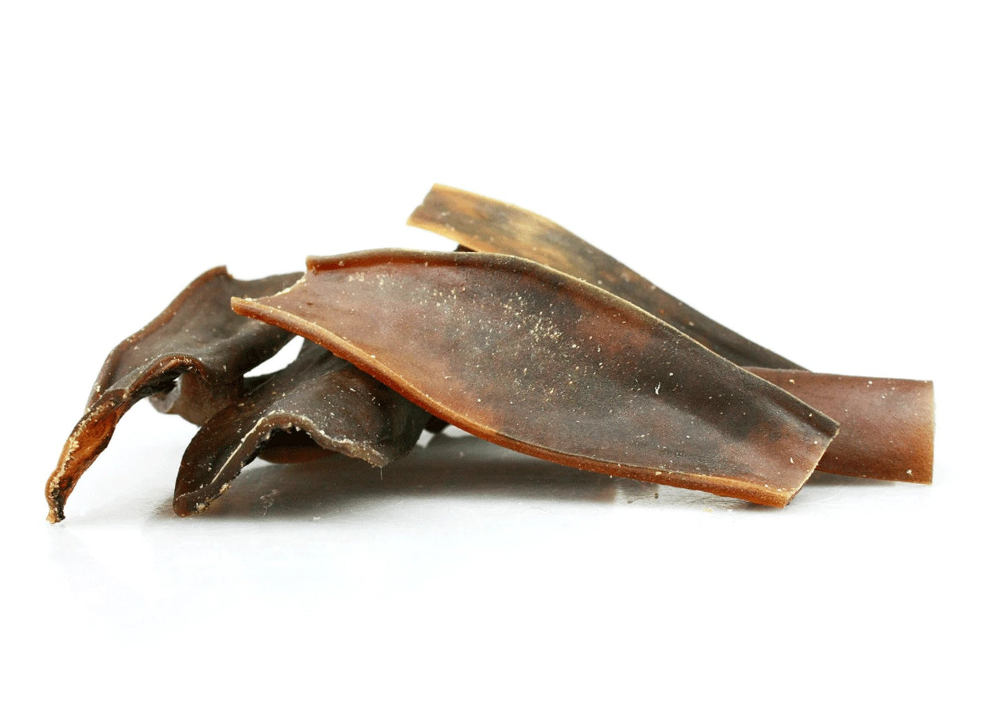 Camel Skin