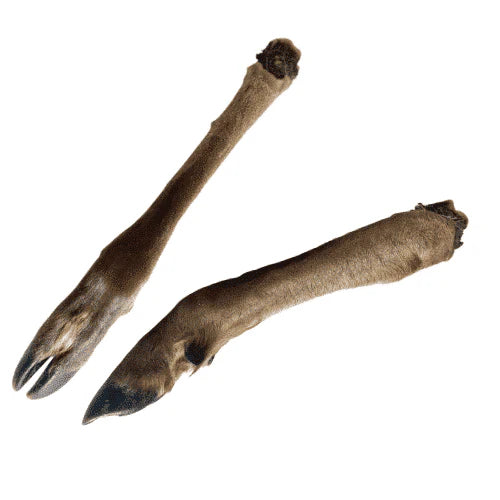 Medium Deer Legs
