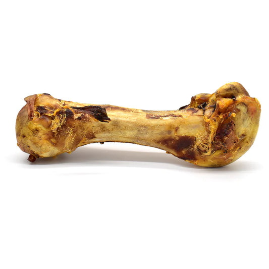 Dino Bones