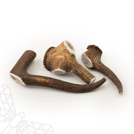 Antlers