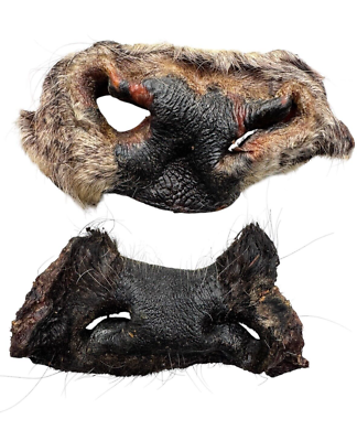 Hairy Beef Snout