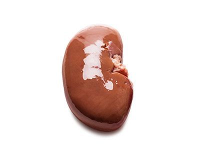 Kidney Chunks 1kg