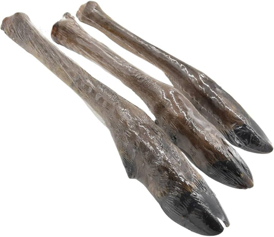 Large Deer Legs