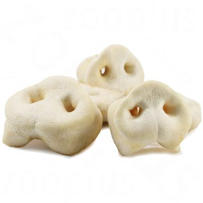 Puffed Pig Snout